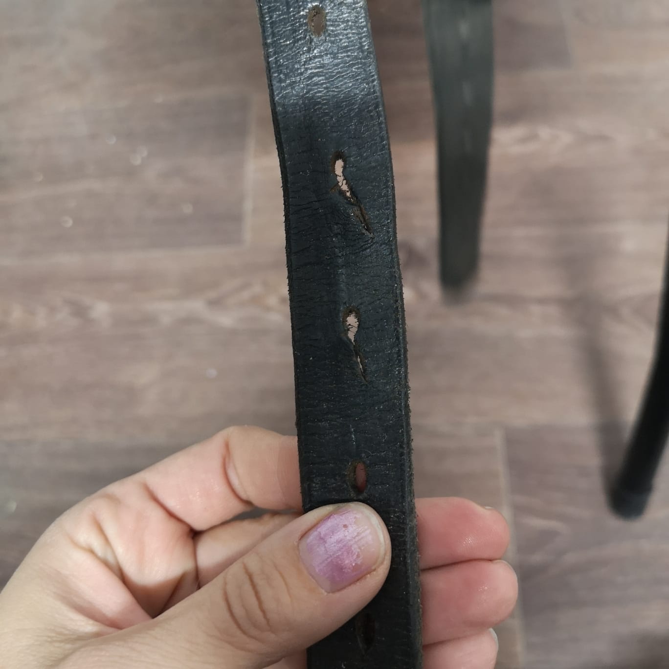 Stübben Maestoso Deluxe (Kopio)