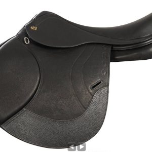 Ordo Equester Caelus