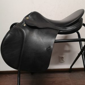 Prestige Appaloosa Golden star