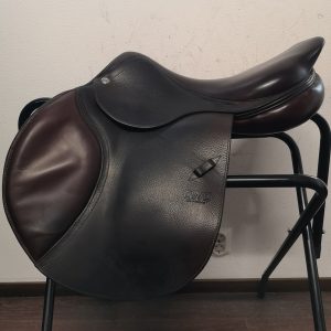 CWD (Kopio)