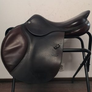 CWD (Kopio)