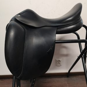 Amerigo Vega Siena Special (Kopio)
